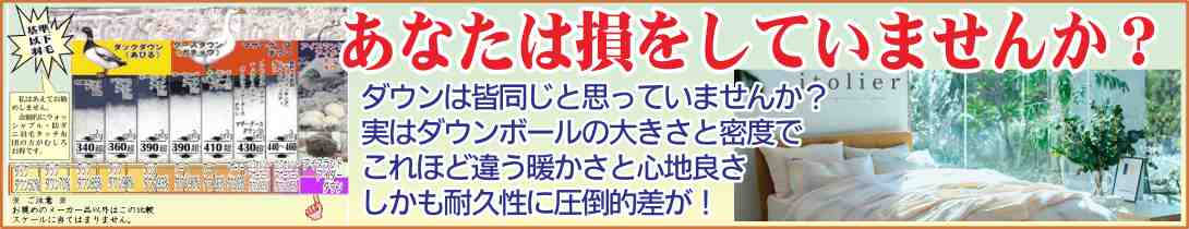SALE＊全品8%off